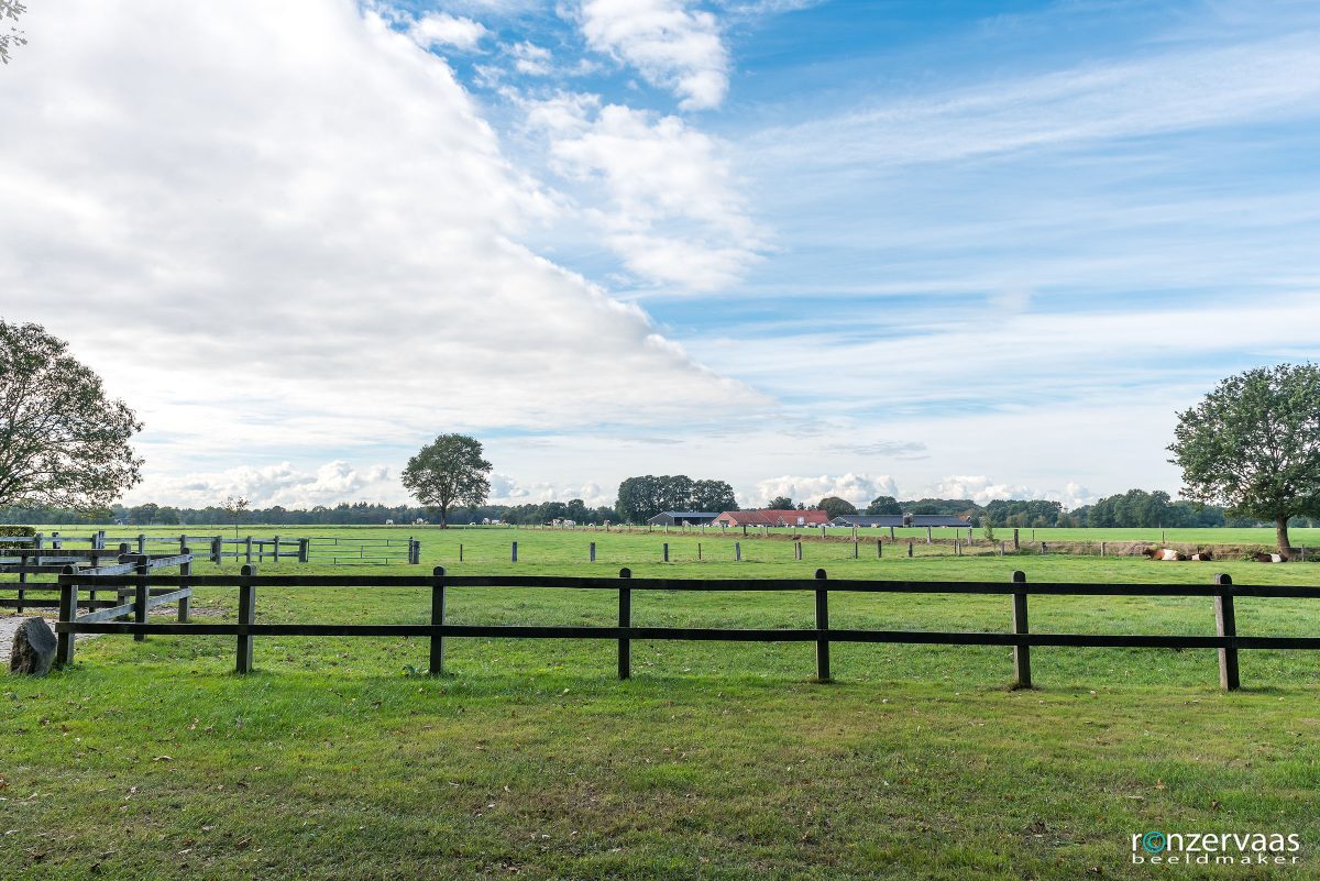 De Kleine Hulst 03
